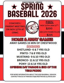 baseball pamphlet